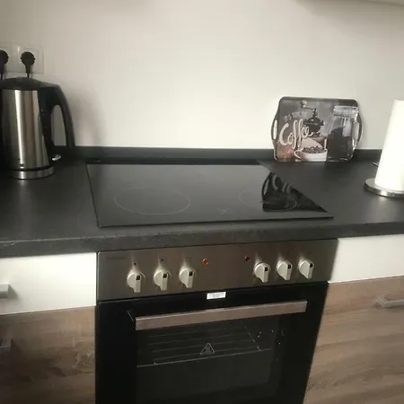 公寓 Ehrenbreitstein 科布倫茨